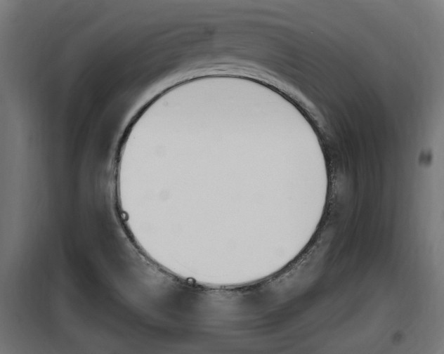 X0000100781514200806191004
