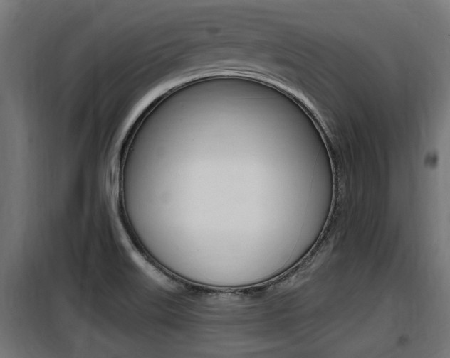 X0000100781515200806191004