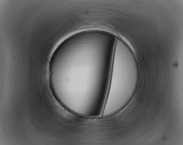 X0000100781516200806191004