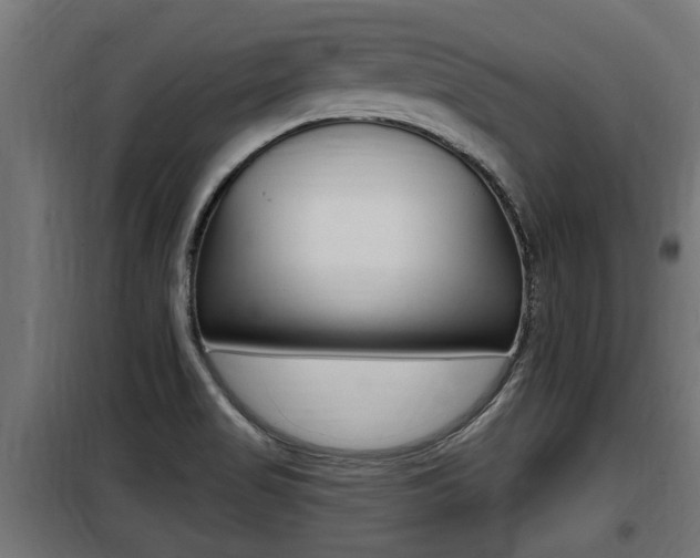 X0000100781517200806191004