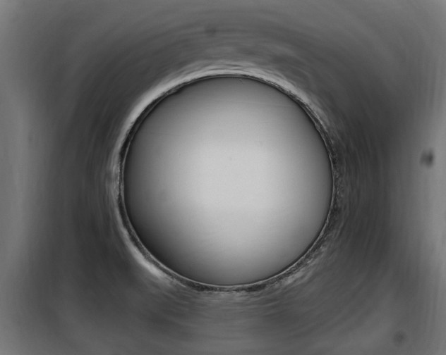 X0000100781519200806191004