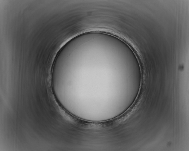 X0000100781521200806191004