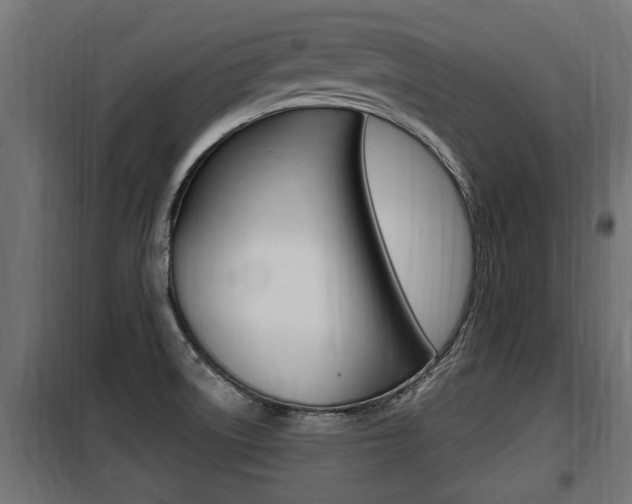 X0000100781522200806191004