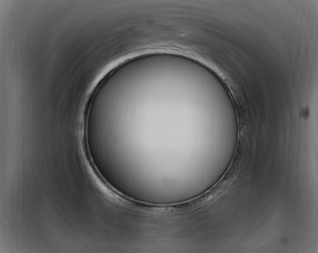 X0000100781523200806191004