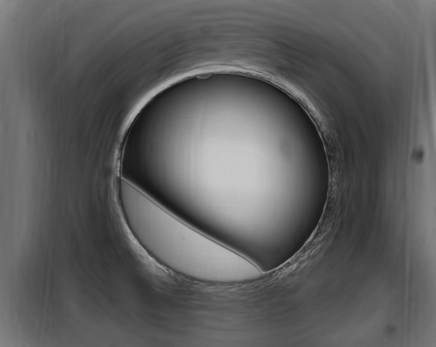 X0000100781524200806191004