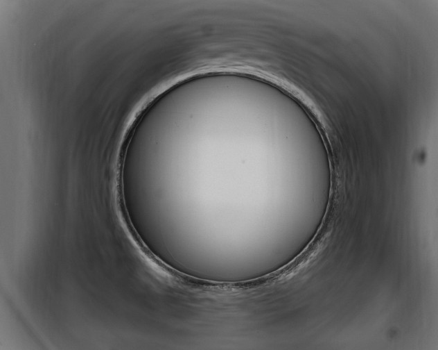 X0000100781525200806191004