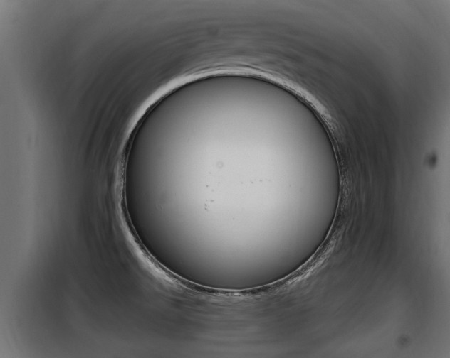 X0000100781526200806191004