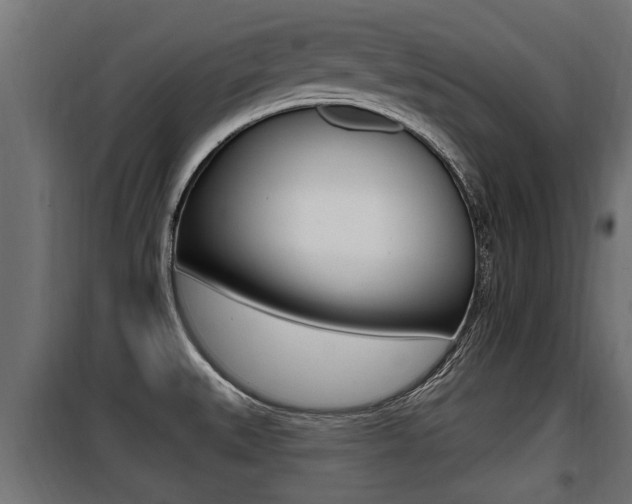 X0000100781527200806191004