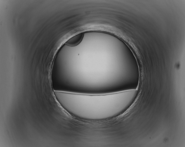 X0000100781529200806191004