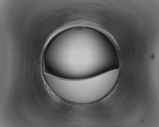 X0000100781530200806191004
