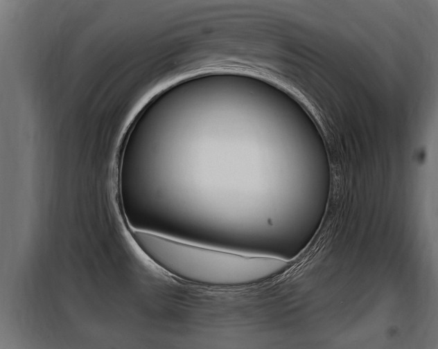 X0000100781531200806191004