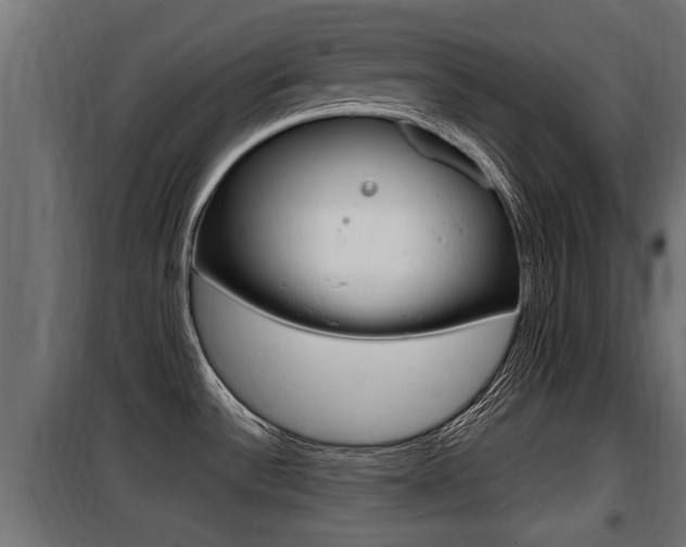 X0000100781532200806191004