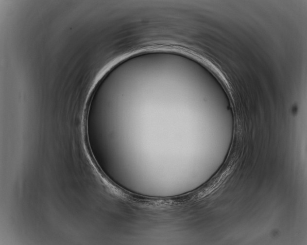 X0000100781533200806191004