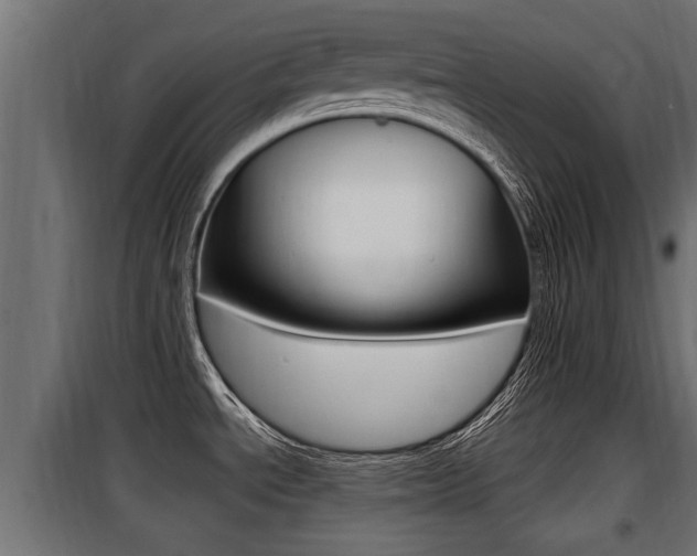 X0000100781534200806191004