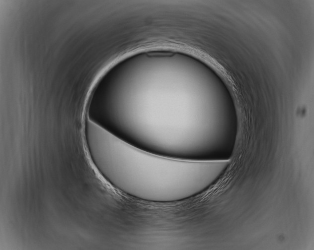 X0000100781536200806191004