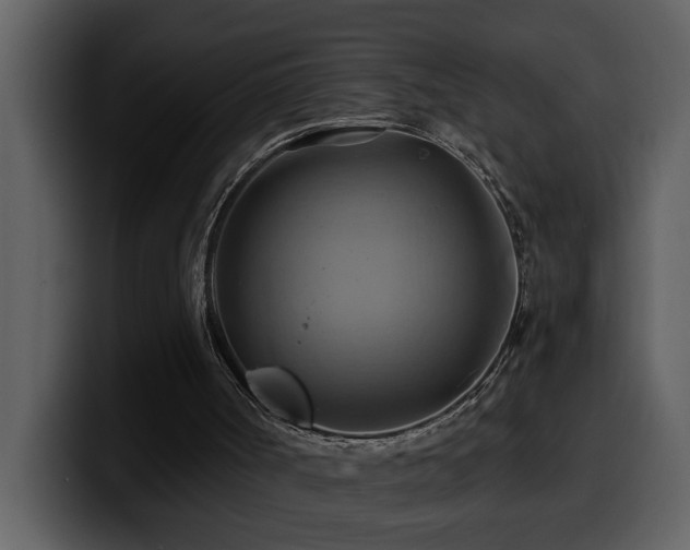 X0000100780002200806191312