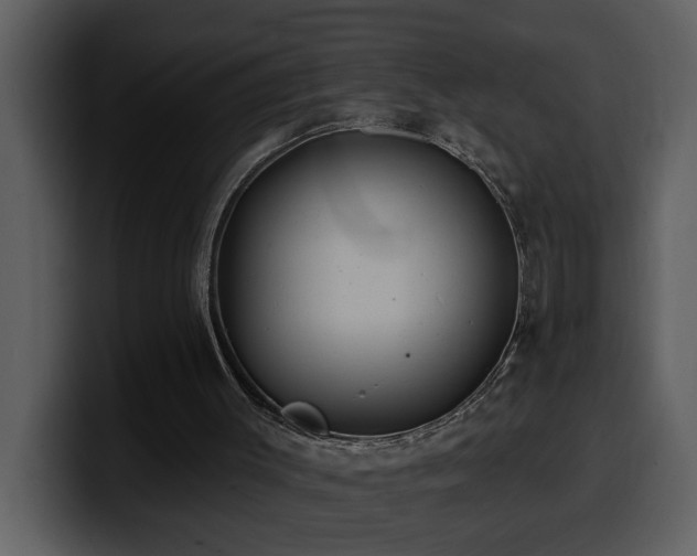 X0000100780003200806191312