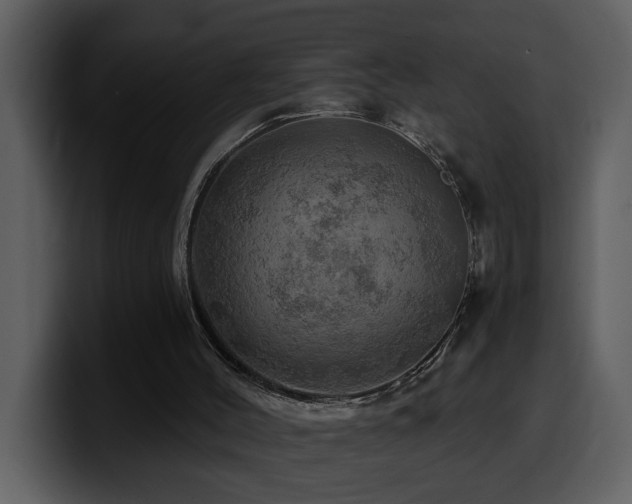 X0000100780004200806191312