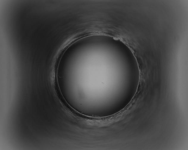 X0000100780005200806191312