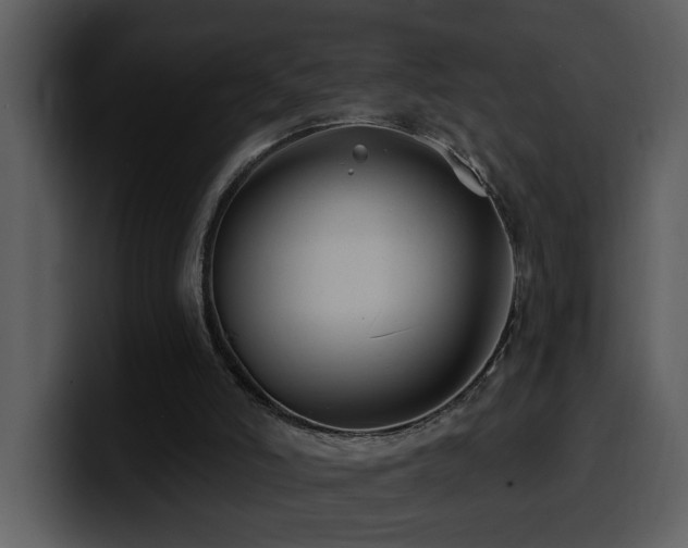 X0000100780006200806191312