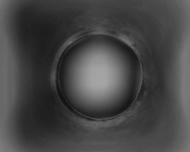 X0000100780007200806191312