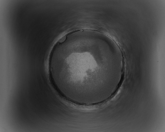 X0000100780008200806191312