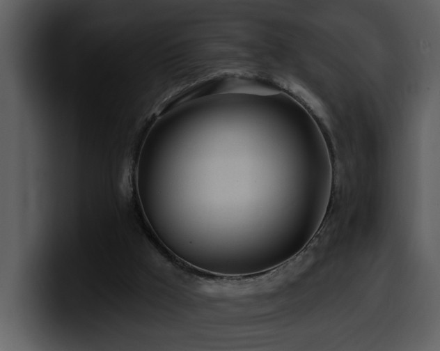 X0000100780009200806191312