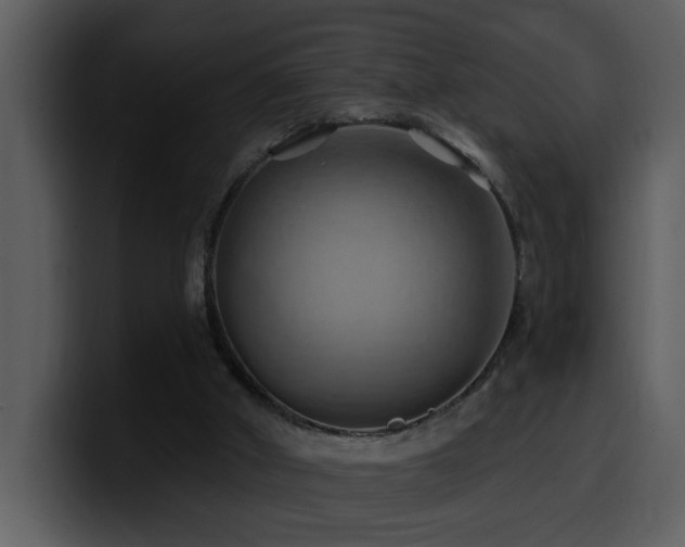 X0000100780010200806191312