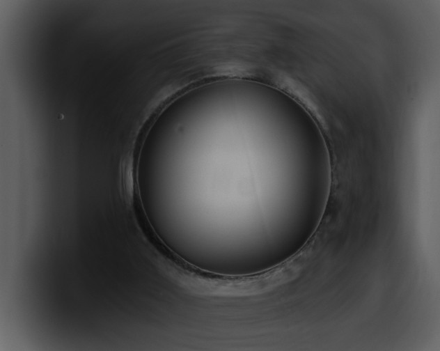 X0000100780011200806191312