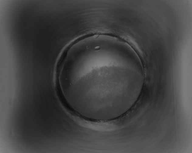 X0000100780012200806191312