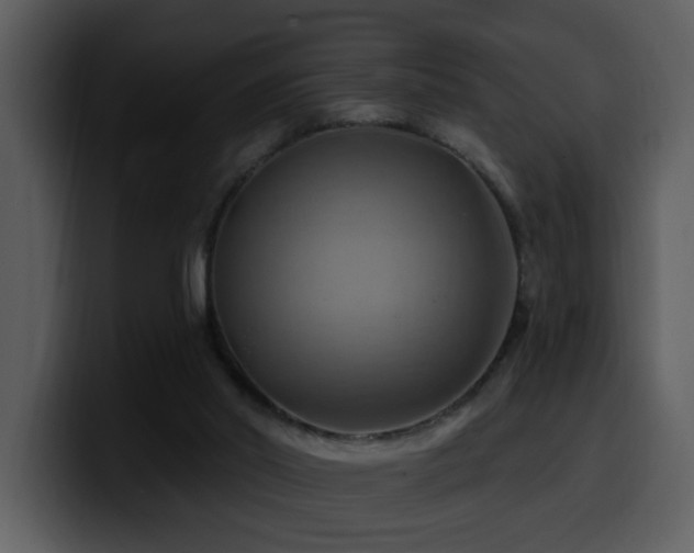 X0000100780014200806191312