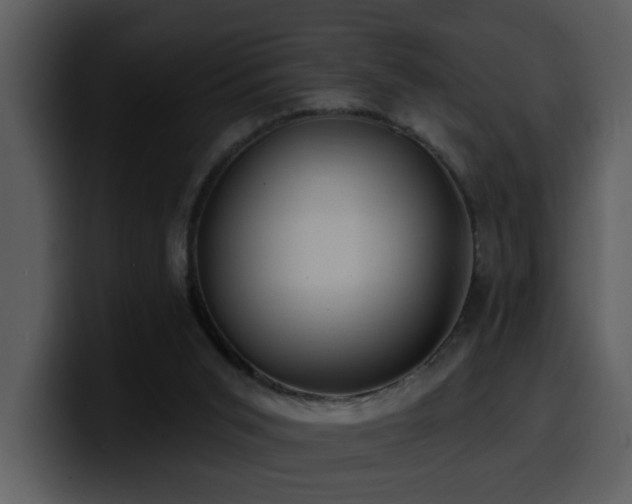 X0000100780015200806191312