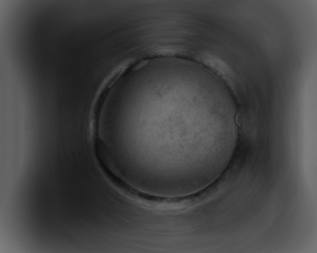 X0000100780016200806191312