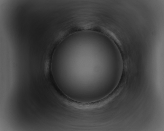 X0000100780018200806191312