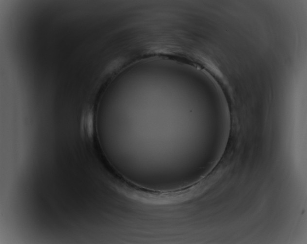 X0000100780019200806191312