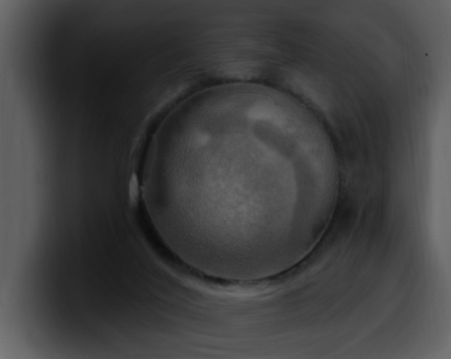 X0000100780020200806191312