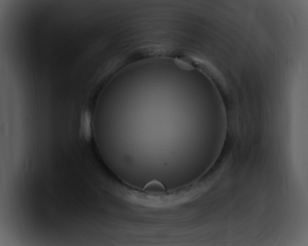 X0000100780022200806191312