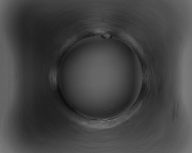 X0000100780023200806191312