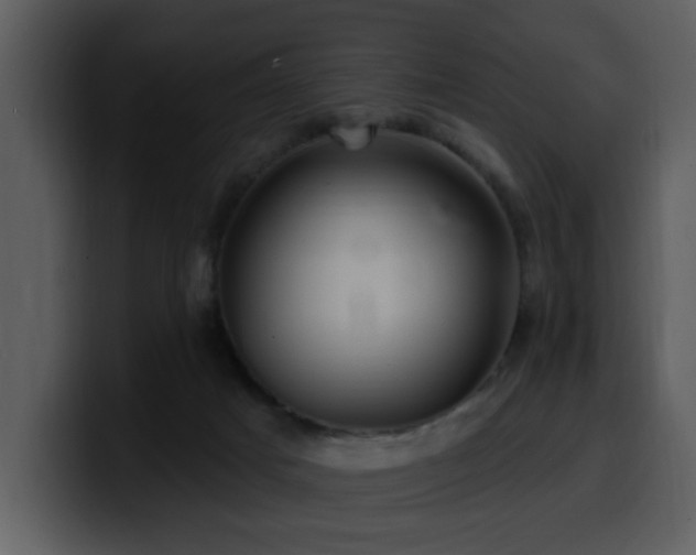 X0000100780025200806191312