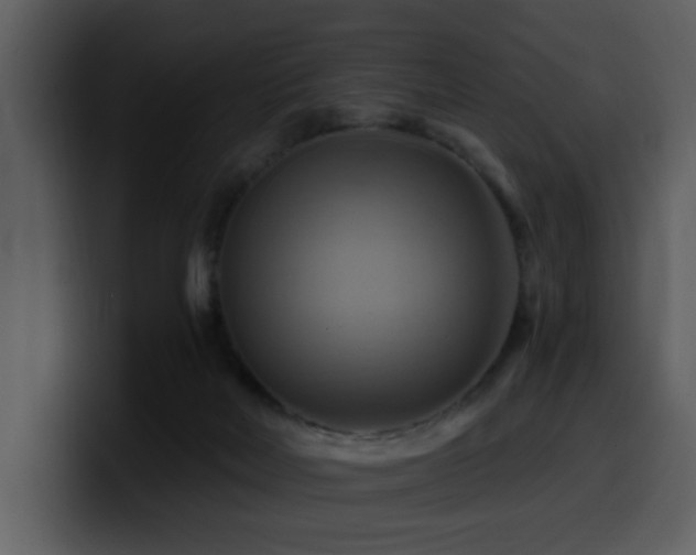 X0000100780026200806191312