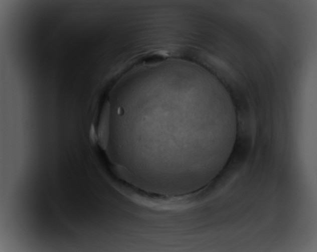 X0000100780028200806191312