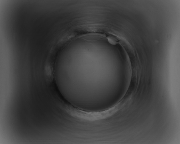 X0000100780031200806191312