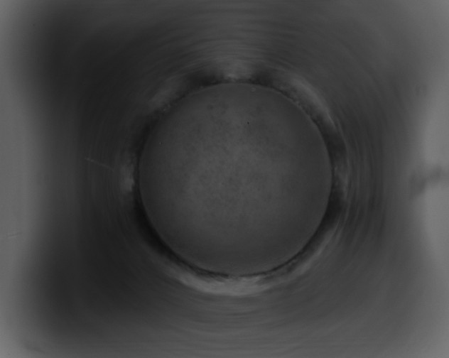 X0000100780032200806191312