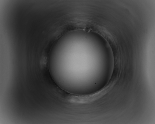 X0000100780033200806191312