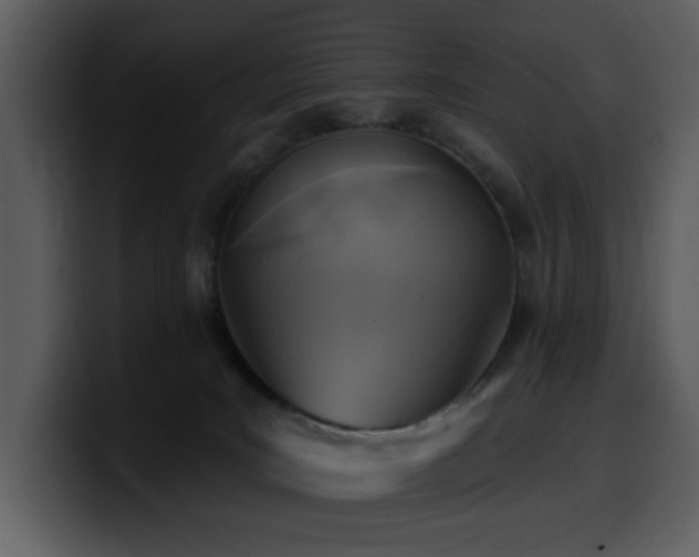 X0000100780035200806191312