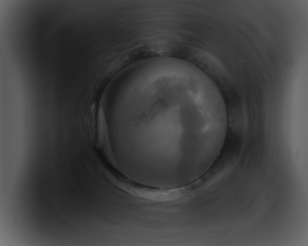 X0000100780036200806191312