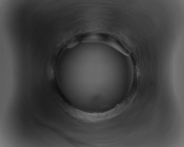 X0000100780039200806191312