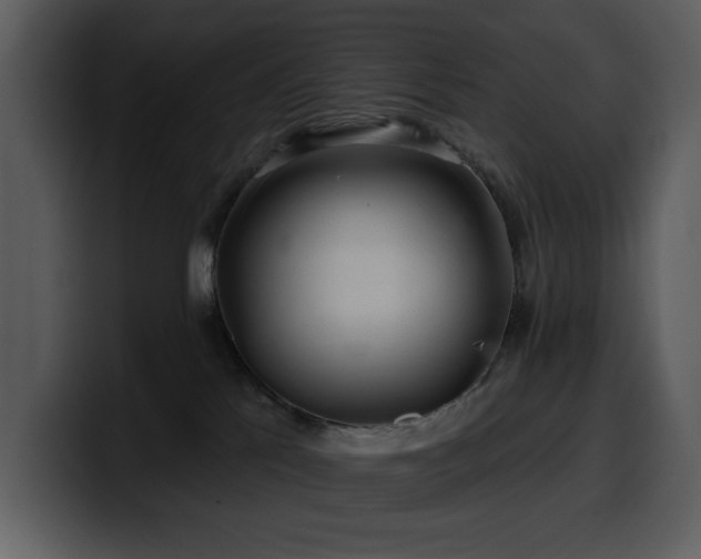 X0000100780041200806191312