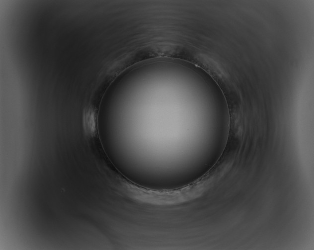 X0000100780042200806191312