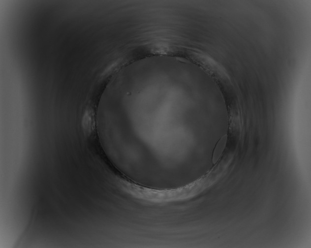 X0000100780043200806191312